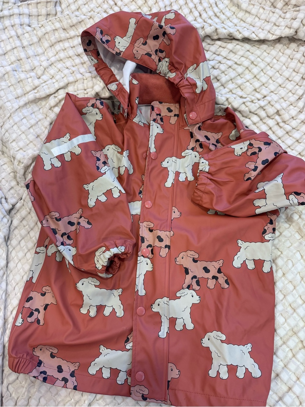 Children's Hooded Raincoat with Puppy Print - Coral